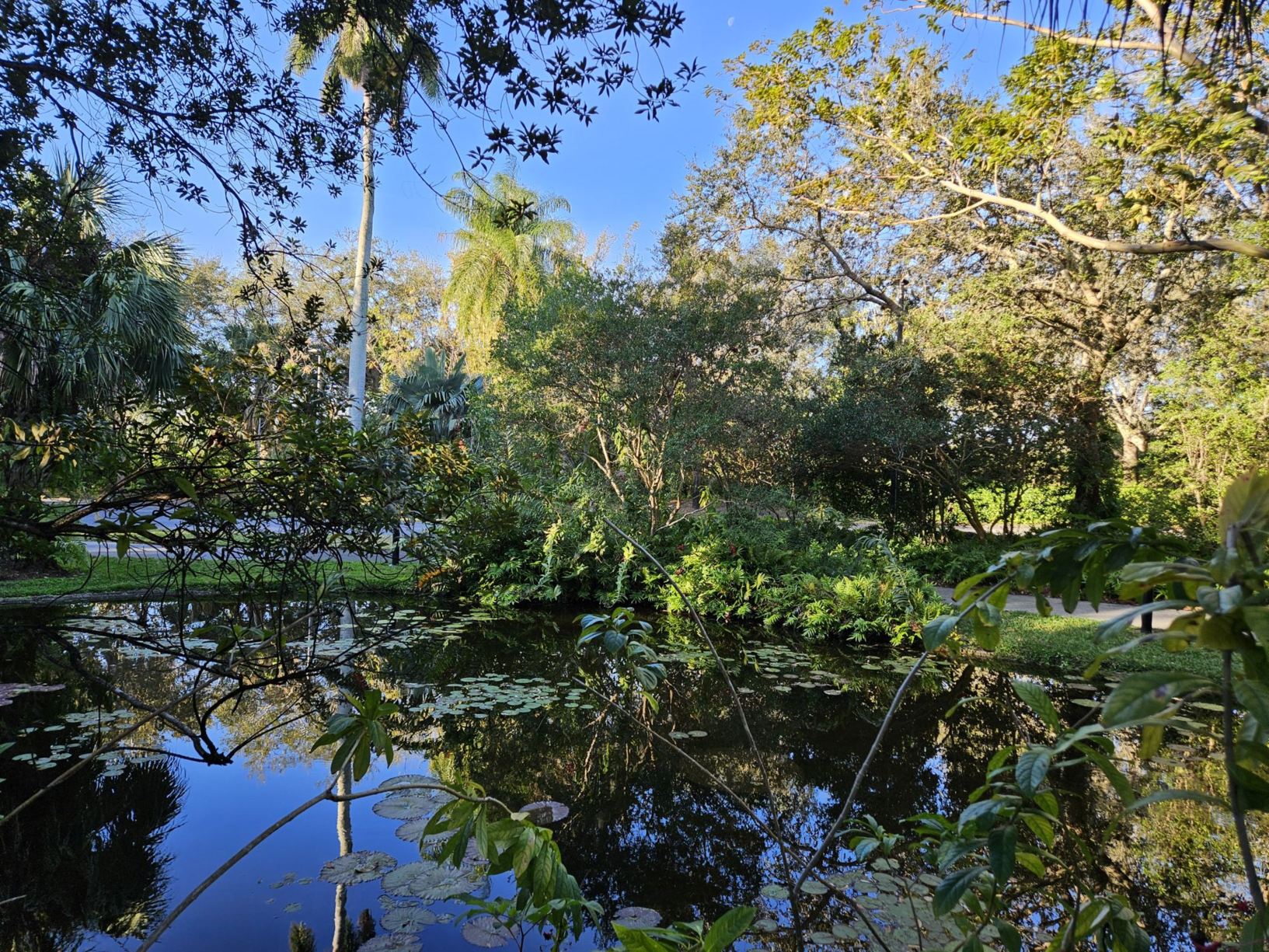 [Welcome image: Upload from IrisBG]